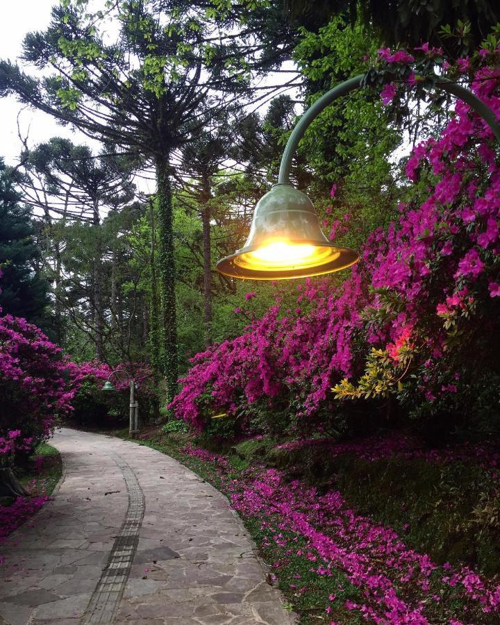 Apartamento Refugio Do Ipe Em Gramado - Proximo Ao Lago Negro ภายนอก รูปภาพ